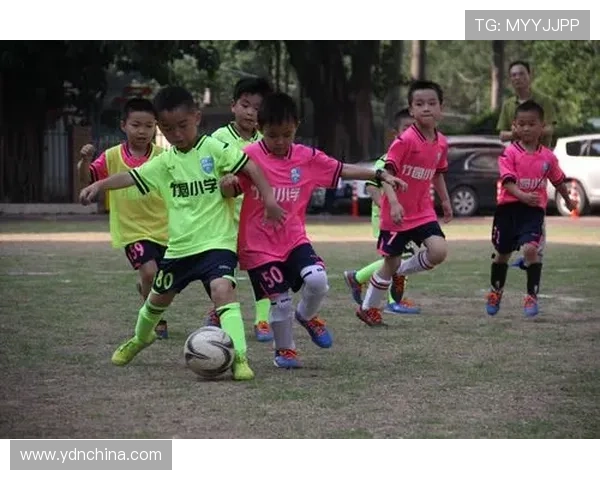 足协新规落地 家长必听的五堂足球避坑课